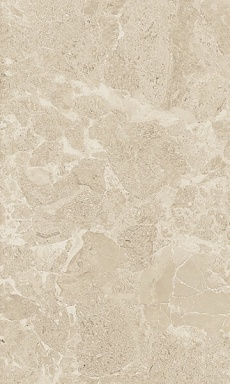 Плитка Gracia Ceramica Saloni brown 01 30*50