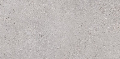 Керамогранит LB-Ceramics 6260-0191 Трэверс светло-серый 30х60
