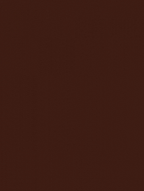 Плитка RAKO WAAKB009 CONCEPT Plus Brown 25x33