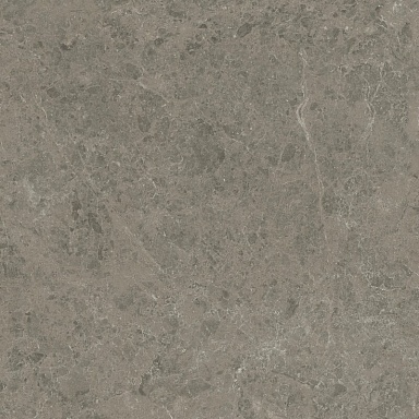 Керамогранит Atlas Concorde Italy AJIF Marvel Meraviglia Grigio Elegante Lapp. 120x120