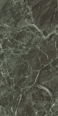 Керамогранит Caesar AHBL Anima Wonder Forest Lucidato 60x120