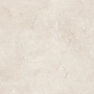 Керамогранит Neodom N12051 Eden Light Matt 120x120