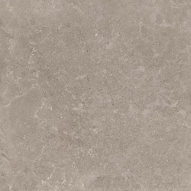 Керамогранит Creto 8163 Shell DG 60х60