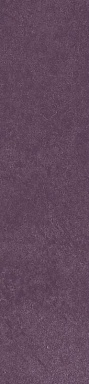 Керамогранит Simpolo Ceramics Scs Spectra Wine 5,8х25