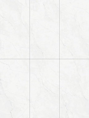 Керамогранит Terramic Tiles TR61223T Breath of Stone Карвинг матовая 60x120
