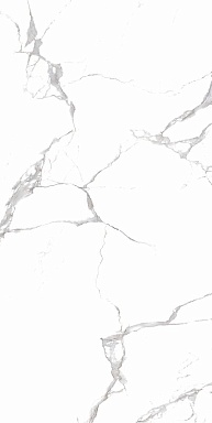 Керамогранит Realistik Emmy White polished 60x120