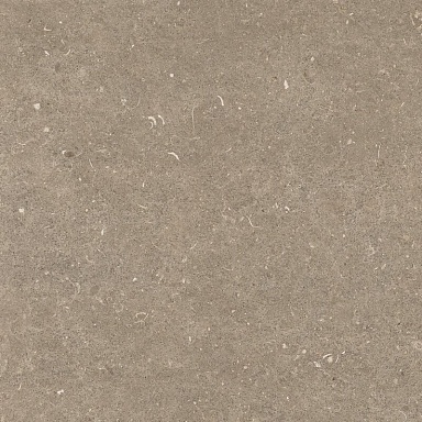 Керамогранит Casa Dolce Casa 785498 Rinascenza Arena Pietra Grip 60x60