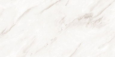 Керамогранит NT Ceramic NTT99525P Empire Pearl Endless 60x120