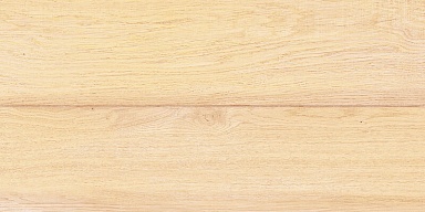 Плитка AltaCera WT9BRE11 Briole Wood 249*500*7.5