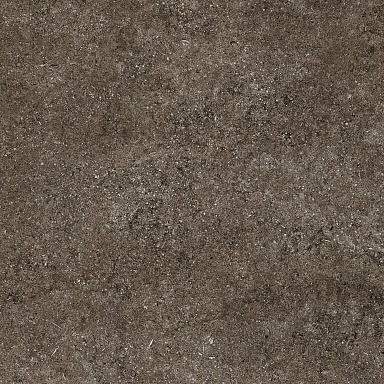 Керамогранит Casa Dolce Casa 768380 Sensi Brown Fossil R+PTV Ret 80x80