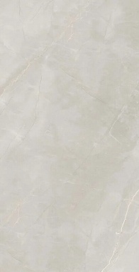 Керамогранит Artcer Marble Royalish Grey 120x60