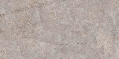 Керамогранит Neodom N20553 Silver River Carving 60x120