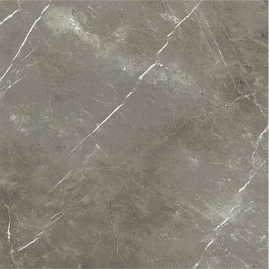 Керамогранит Italon 600010002388 Stellaris Tuscania Grey Nat Ret 120x120