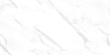 Керамогранит NT Ceramic NTT99506P Statuario Endless 60x120
