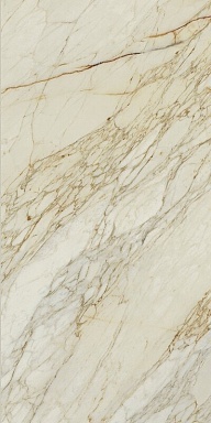 Керамогранит Serenissima Cir Calacata Dorato Silk Rett 60x120