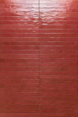 Керамогранит Sadon J92079 Colors Red 4,8x45