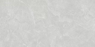 Керамогранит LB-Ceramics 6493-0140 Сумерки светло-серый 60x120
