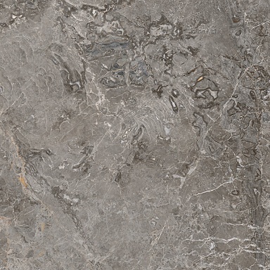 Керамогранит Porcelanosa 100324918 Elegant Grey matt 59.6x59.6