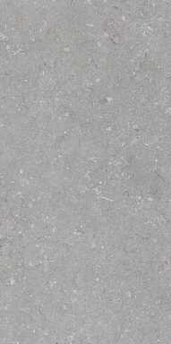 Керамогранит Dado Ceramica 005485 Shellstone Grigio 60x120