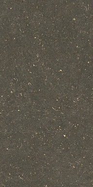 Керамогранит Casa Dolce Casa 785511 Rinascenza Arena Platino Grip 20mm 60x120