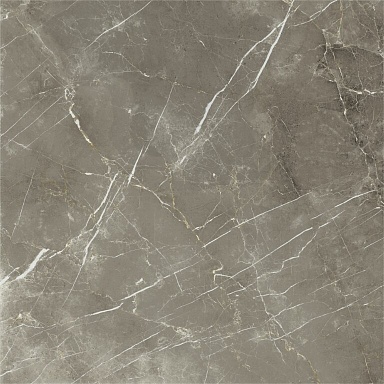 Керамогранит Italon 600010002388 Stellaris Tuscania Grey Nat Ret 120x120