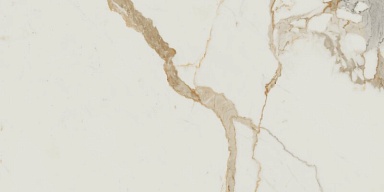 Керамогранит Benadresa Medici Gold Pulido 60x120