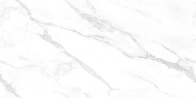 Керамогранит NT Ceramic NTT99506P Statuario Endless 60x120