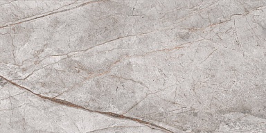 Керамогранит Neodom N40016 Imperial Grey Carving 60x120