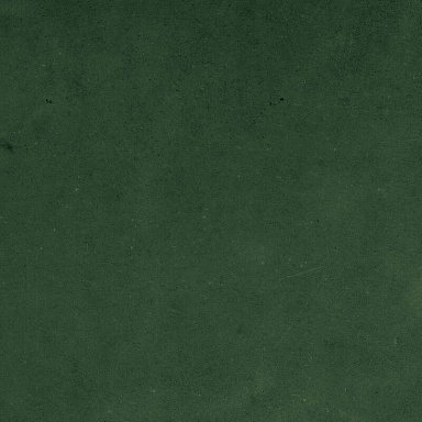 Керамогранит Harmony 43289 Samira Green 10x10