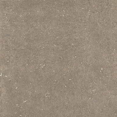 Керамогранит Casa Dolce Casa 785580 Rinascenza Arena Pietra Matte 6mm 120x120