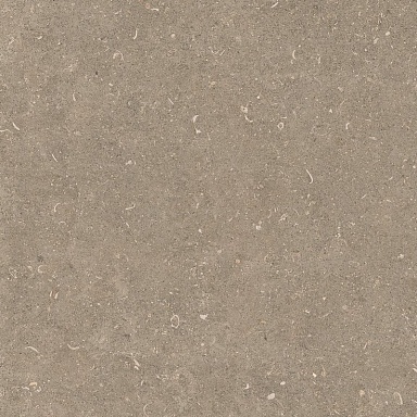 Керамогранит Casa Dolce Casa 785498 Rinascenza Arena Pietra Grip 60x60