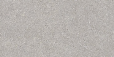 Керамогранит Peronda 35568 Ghent Grey/50X100X2/A/R 50x100