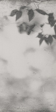 Керамогранит Flaviker PF60012582 Art Walls Shadow Nat R 60x120
