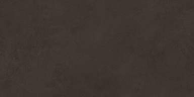 Плитка Laparet 48036R Evolution marron матовый обрезной 40x80