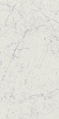 Керамогранит Italon 610010001194 Charme Extra Carrara Nat Ret 60x120