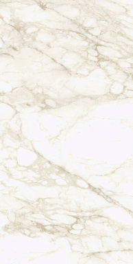 Керамогранит Coliseumgres 610010002745 Микеланджело Ворм 60x120