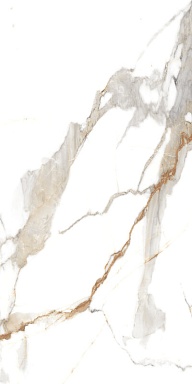 Керамогранит Artcer 890 Classic Carrara 120x60