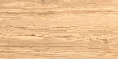 Керамогранит Casati Ceramica Alpine Natural Wood Matt 60x120
