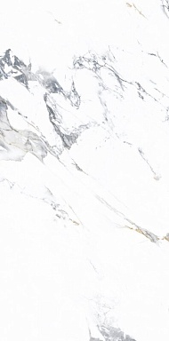 Керамогранит NT Ceramic NTT3003P Arabescato 120x240