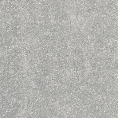 Керамогранит Alpas Euro Fossil Gris 20mm 60x60