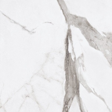 Керамогранит Ariana Ceramica PF60004976 Epoque White Statuario Ret 60X60