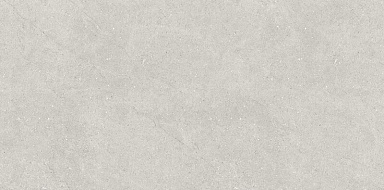 Керамогранит Neodom N110007 Liberty Grey Matt 60x120