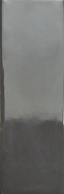 Керамогранит Wow 133000 Bits Storm Gloss 3,7x11,6