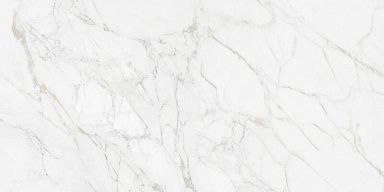 Керамогранит Neodom N12045 Carrara Giaola Polished 60x120