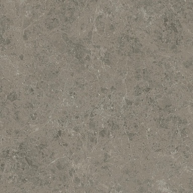 Керамогранит Atlas Concorde Italy AJIF Marvel Meraviglia Grigio Elegante Lapp. 120x120