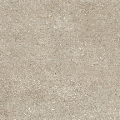 Керамогранит Casa Dolce Casa 768365 Sensi Ivory Fossil R+PTV Ret 80x80