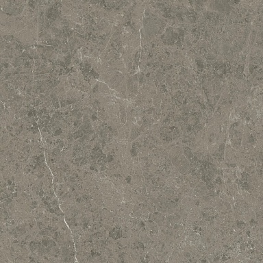 Керамогранит Atlas Concorde Italy AJIF Marvel Meraviglia Grigio Elegante Lapp. 120x120