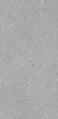 Керамогранит Dado Ceramica 005485 Shellstone Grigio 60x120