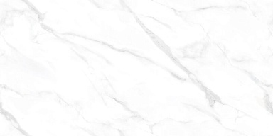 Керамогранит NT Ceramic NTT99506P Statuario Endless 60x120