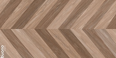 Керамогранит Buono Ceramica F4510M Forest Nature Roble Matt 60x120